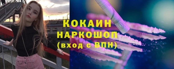 твердый Алексин