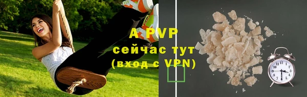твердый Алексин