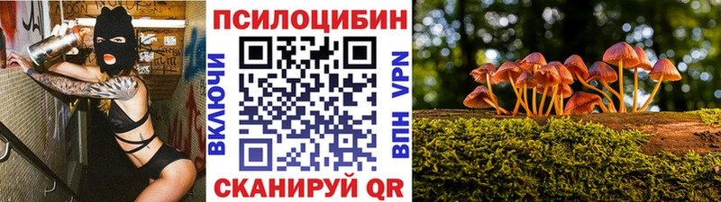 Галлюциногенные грибы Psilocybine cubensis  цены   Нововоронеж 